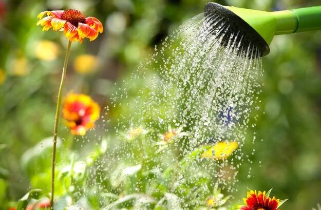 热水可以浇花吗