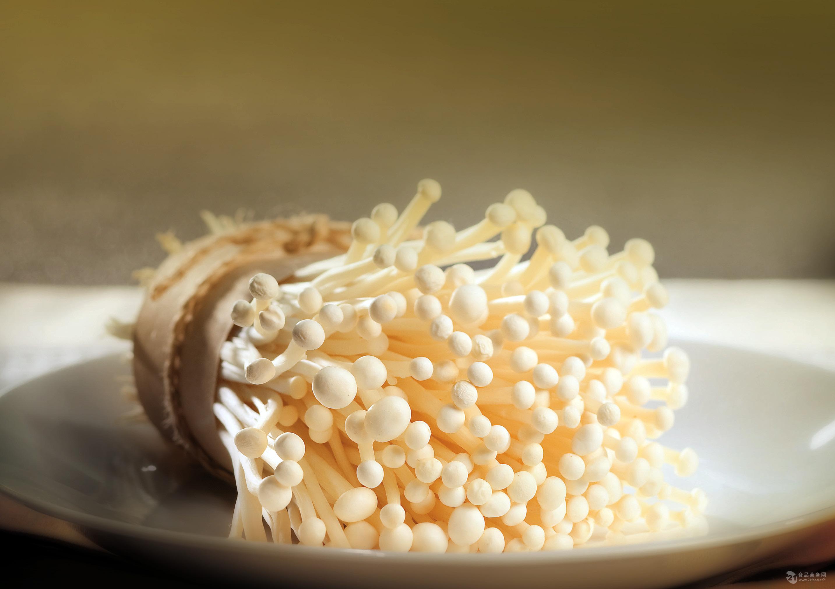 探索金针菇的美味世界：为您带来最全面的烹饪指南