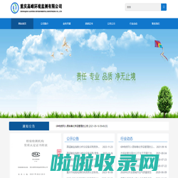 重庆高峰环境监测有限公司官网