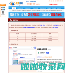 上海网站优化公司