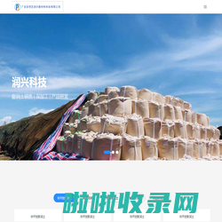 广西自贸区润兴新材料科技有限公司